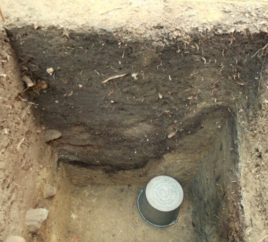 A dry hole, with some wood debris sticking out the side of the hole.