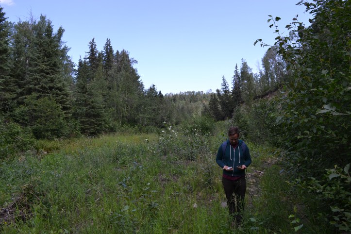 Dustin stands amid a lot of trees at Coates