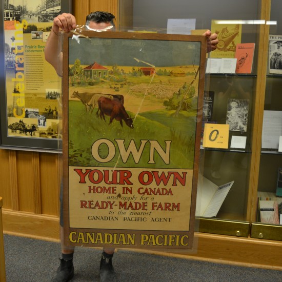 The poster reads: Own Your Own Home in Canada. It shows cows eating grass on a sunny prairie farmstead.