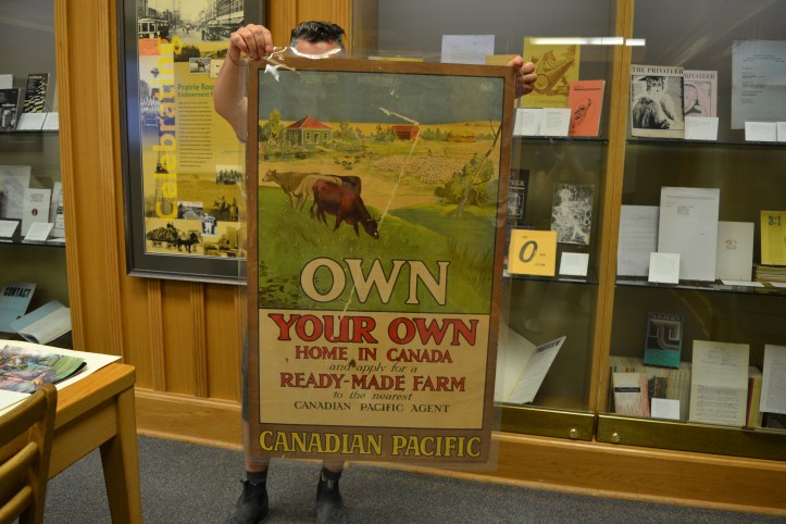 The poster reads: Own Your Own Home in Canada. It shows cows eating grass on a sunny prairie farmstead.