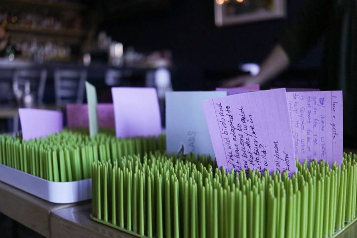 Our story garden. (Photo: Trevor Chow-Fraser)