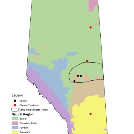 Map of Alberta indicating the geographical locations of long-leaved bluet translocation sites [from Jennine Pedersen's paper]