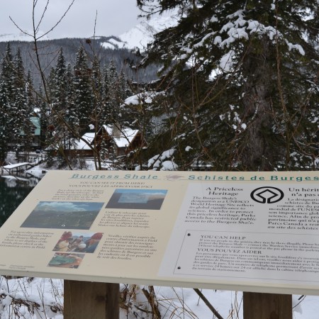 Parks Canada sign discussing the UNESCO World Heritage Site designation for the Burgess Shale and the Rocky Mountain national parks.