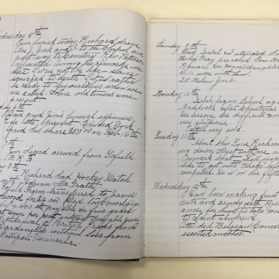 Diary entries up to January 12, 1916