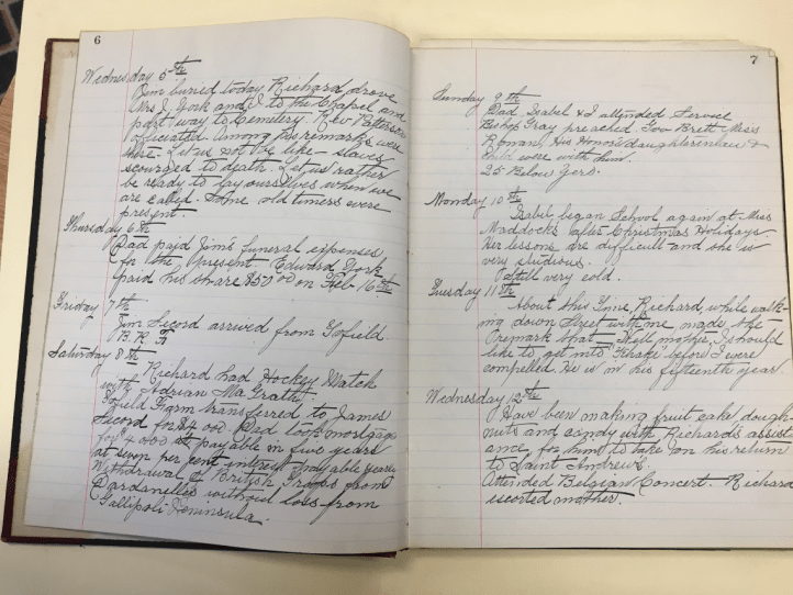 Diary entries up to January 12, 1916