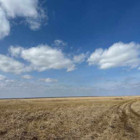 Looking north towards the shore of Beaverhill Lake. It is a line far on the horizon.